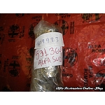 Alfasud Ti, Lusso Camshaft