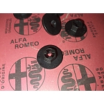 Alfa Romeo/Fiat/Lancia Various Applications Plastic Nut
