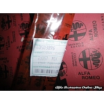 Alfa 33 905/907 Series Front Right Door Lower Seal
