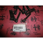 Alfa 33/75/Milano/145/146 Driveshaft Screw