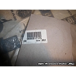 Alfa Spider 115 Series Driveshaft Seal