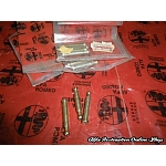 Alfasud Sprint Series 3 Low Beam (Outer) Headlight Adjustment Screw