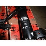 Alfa 33 905 Series Front Shock Absorbers (OEM)