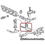 Alfa 75 2.0 TS Thermostat to Water Pump Hose