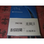 Alfa 164 Super 3.0 V6 12V Alternator Belt