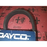 Alfa 164 Super 3.0 V6 12V Power Assisted Steering Belt