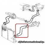 Alfa 164 2.0 Twin Spark Upper Radiator Hose (FL92/Super Models)