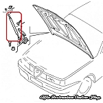 Alfa 155 Hood/Bonnet Struts Set
