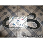 Alfa 164 3.0 V6 24V Accessories Belt