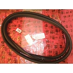 Alfa 156 All Models/Berlina Rear Left Door Seal (OEM)