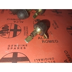 Alfa Romeo Alfetta/Giulietta/GTV6 Dome Light Switch