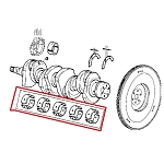 Alfa 145/146/155 1.9 TD Crankshaft Bearings (Standard Size)