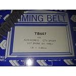 Alfa 145/146/155/GTV/Spider Counterbalance Belt (2.0 Early Twin Spark Engines)