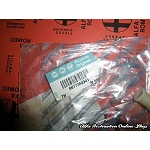 FIAT/Lancia Various Models Diesel Fuel Filter Bleeding Nipple