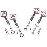 Alfa 145/146/155/147/156/166/GT/GTV/Spider TS Hydraulic Tappet (Set of Four)
