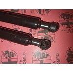 Alfasud Giardinetta Boot/Trunk Struts Set