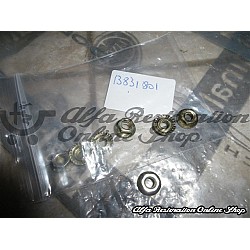 Alfa Romeo/Fiat/Lancia Various Applications Nut with Integrated Lock Washer M5 x 0.8