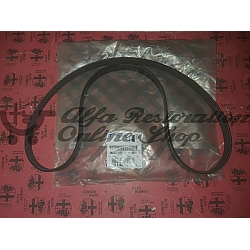 Alfa Giulietta 1.4 TB/500L/500X/Jeep Renegade Accessories Belt