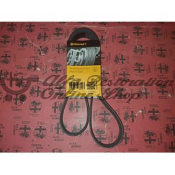 Alfa 164 Super 3.0 V6 12V AC Compressor Belt