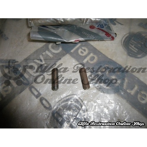 Alfa 33 907 Series Gear Lever Selector Coupling Lock Pin