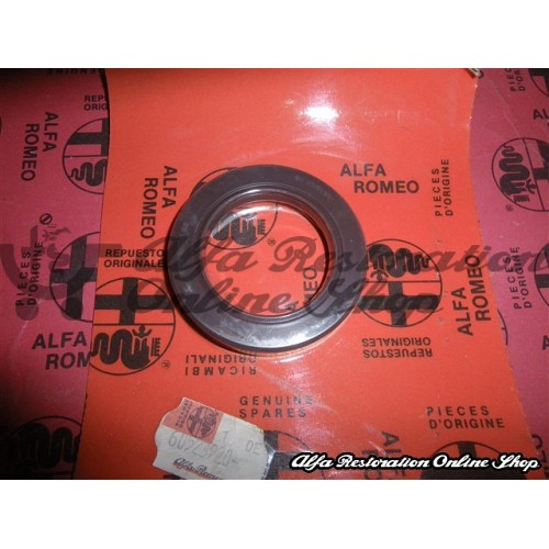Alfa 33 4 X 4 Models/Permanent 4 Rear Differential Pinion Shaft Seal