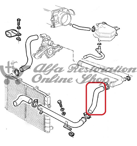 Alfa 164 3.0 V6 12V/24V Radiator Lower Hose (Intermediate)