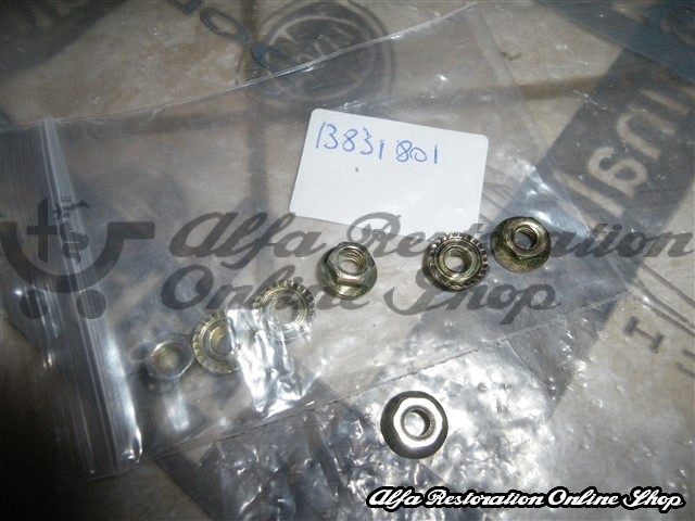 Alfa Romeo/Fiat/Lancia Various Applications Nut with Integrated Lock Washer M5 x 0.8