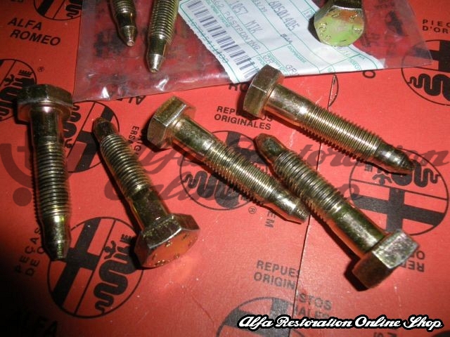 Alfa 33/Alfasud/Sprint Front Shock Absorbers/Stub Axle Mounting Bolt