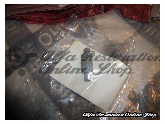 Alfa 33 905 Series/75/Milano/SZ/RZ Windscreen Fluid One-way Valve