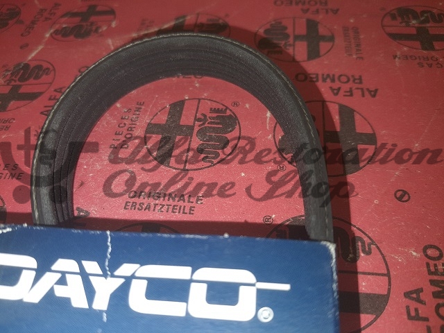 Alfa 164 Super 3.0 V6 12V Power Assisted Steering Belt