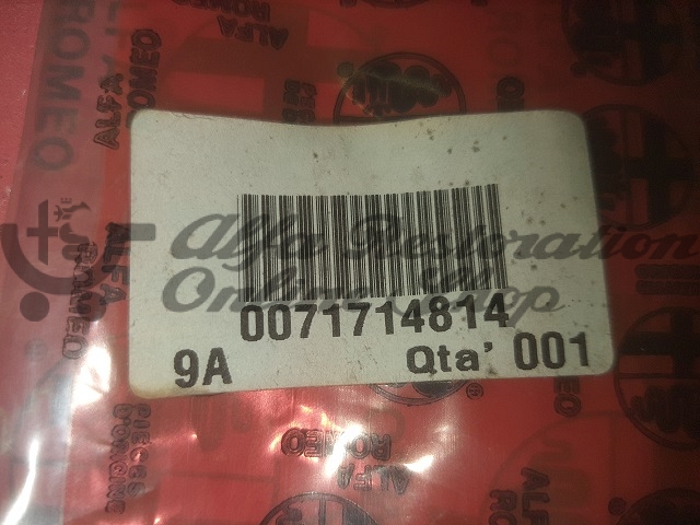 Alfa 75/Milano/Spider 115 Series Fuel Tank Screen Filter