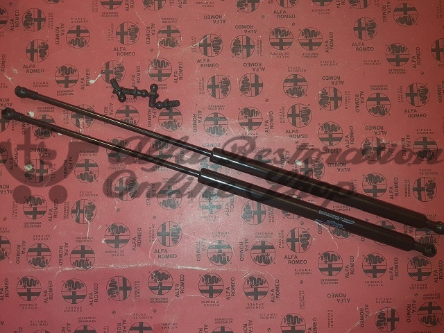 Alfasud Giardinetta Boot/Trunk Struts Set